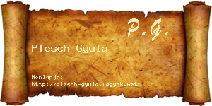 Plesch Gyula névjegykártya